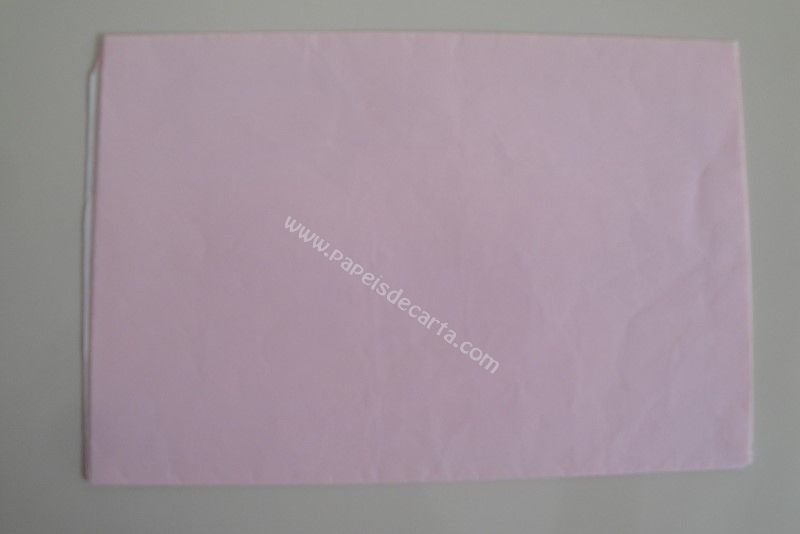 Verso do envelope