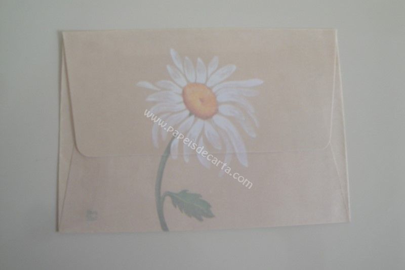 Frente do envelope