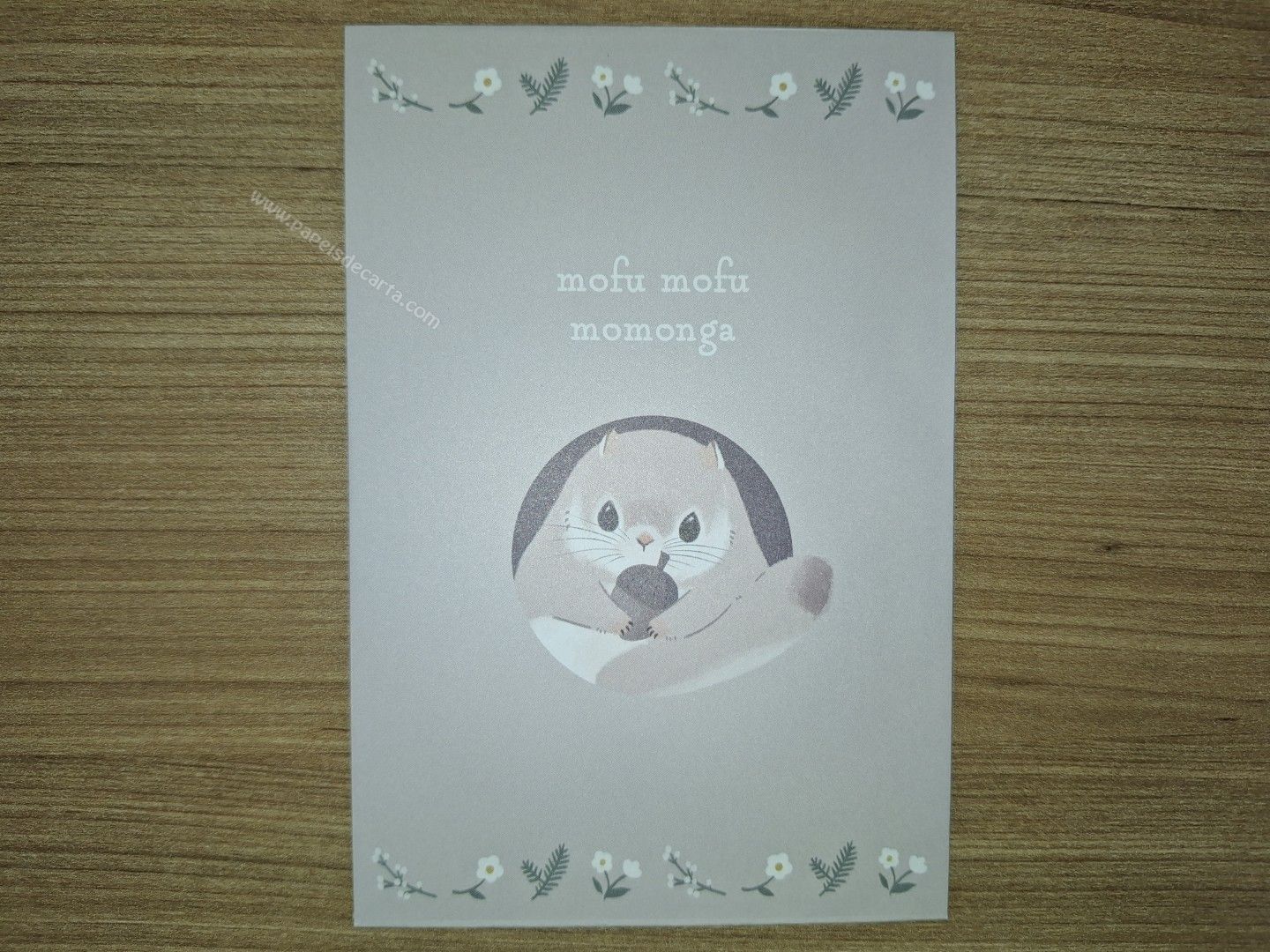 Verso do envelope